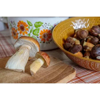 frozen-mushroom-04 (1)-6703663-16168.webp